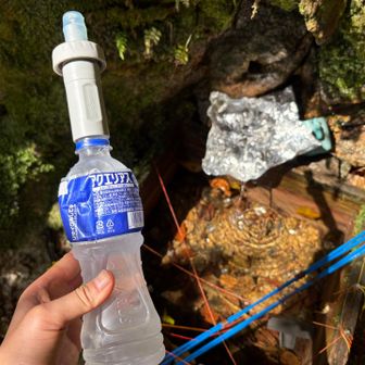 水場で水分補給
冷たくて美味しかった