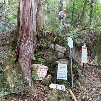明神山との分岐、乳岩は左に〜