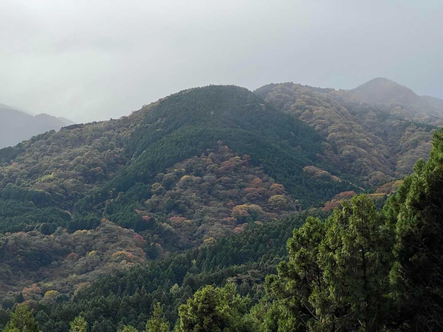 矢倉沢バス停-矢倉沢登山口-矢倉岳-清水越-地蔵堂バス停 縦走コースの写真