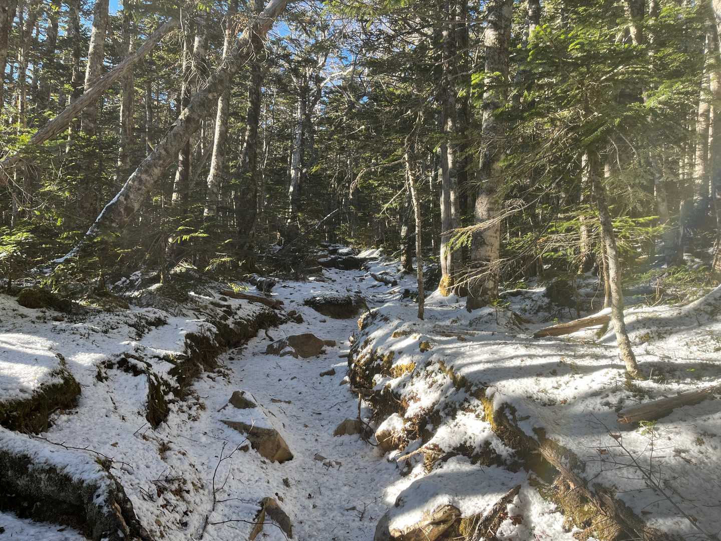 苺平手前から着雪と凍結がありました。