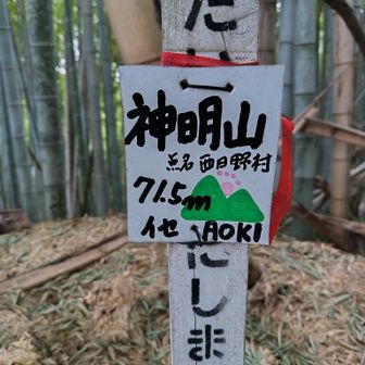 これがアズマ屋のすぐ近くにある山頂標識。