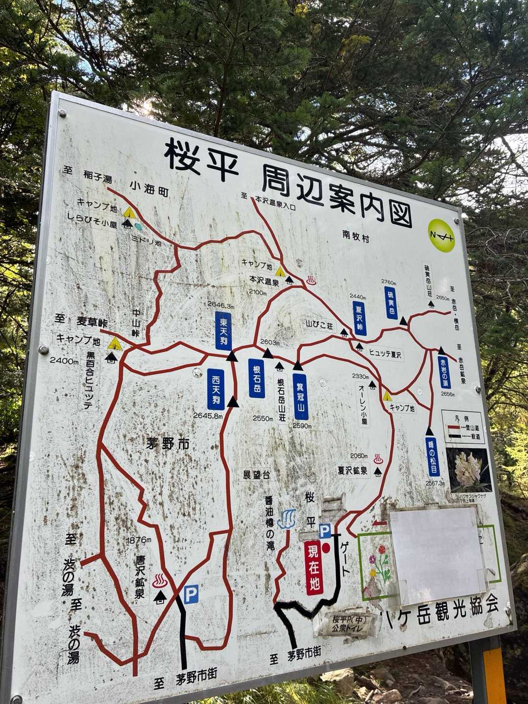 今回のルート確認