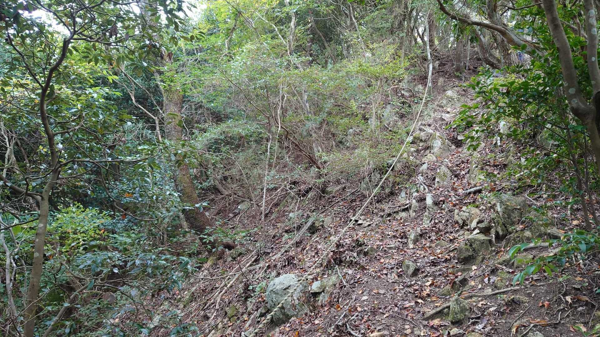 🪢数か所あり、使わず横を登る