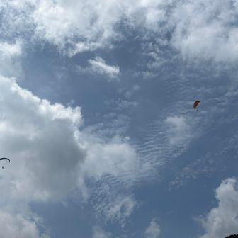 空にはパラグライダーが2機