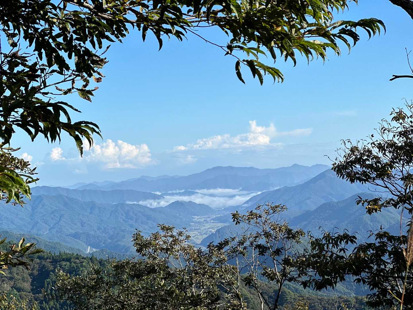 おぉー✨
雲海が見えています🤩☁️⛰️☁️✨
最高の景色です✨