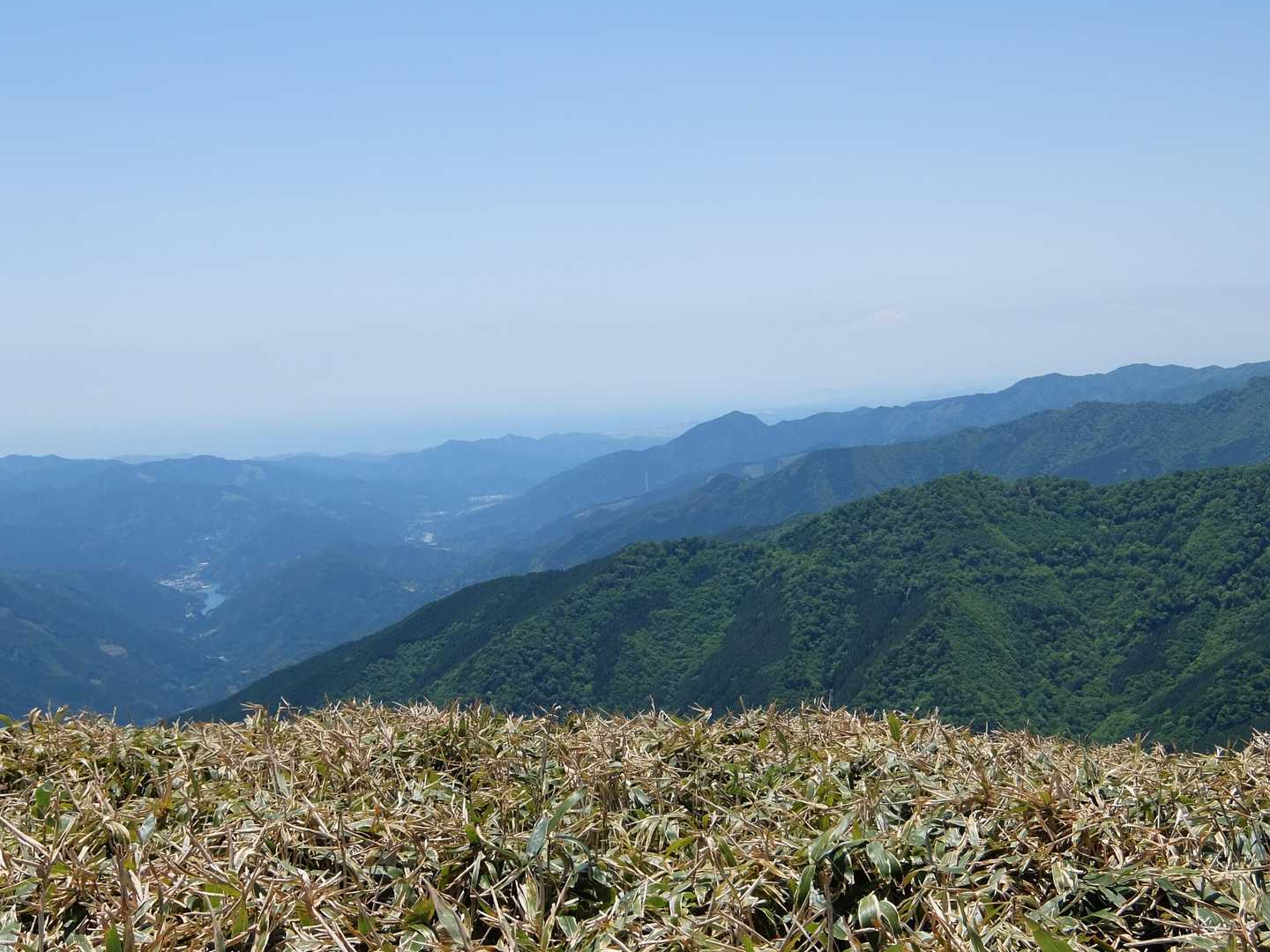 矢筈峠-綱附森 往復コースの写真