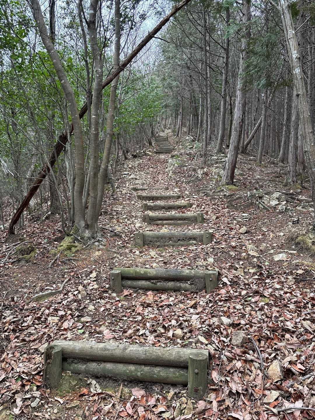 金輪山 往復コースの写真