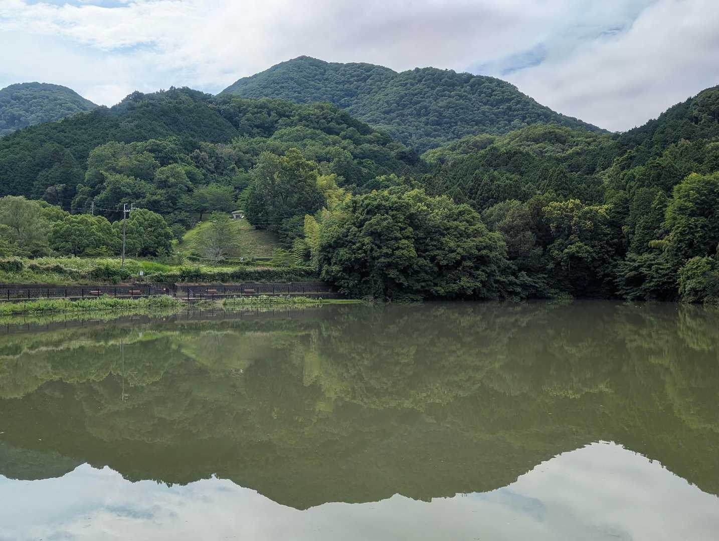 激しい雨の影響で大池の水が濁っています。