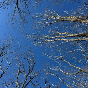 あ〜いい天気🟦