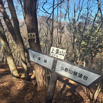 その先に上条山の山頂がありました(´∀｀)
