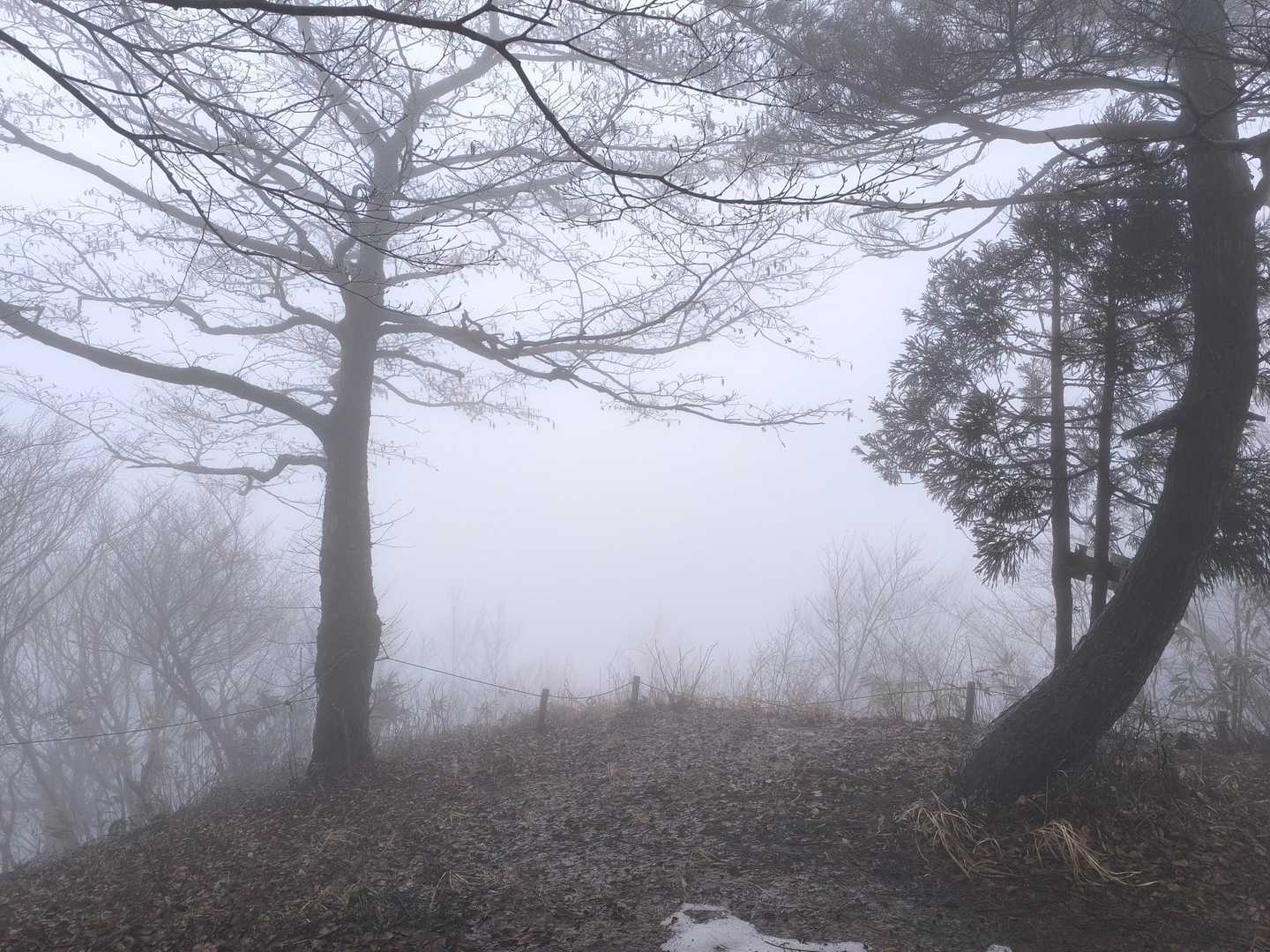 見晴台
海とか島とか鳥海山とか
見える筈です
今日は想像力の訓練