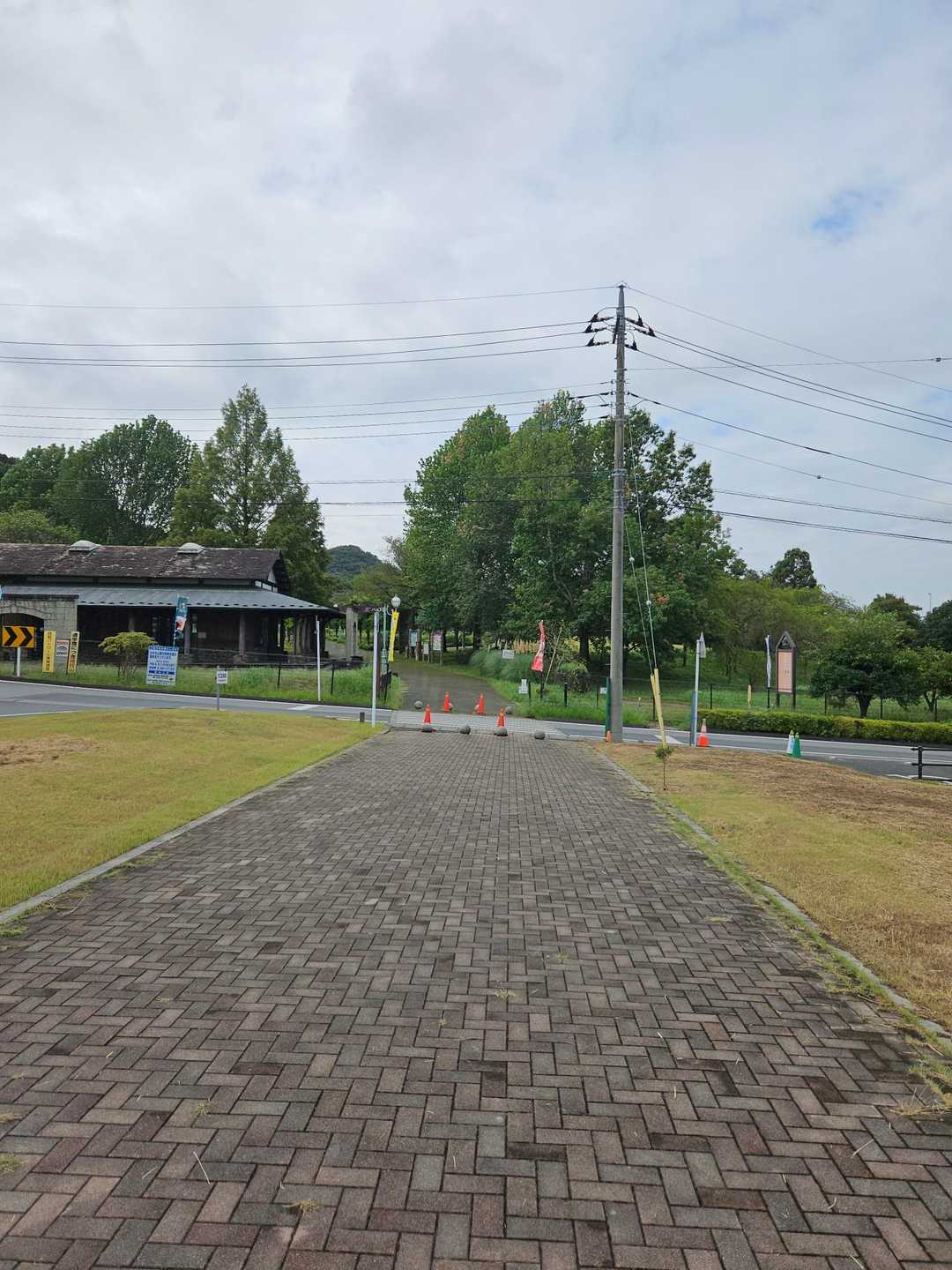 さあ～スタート。