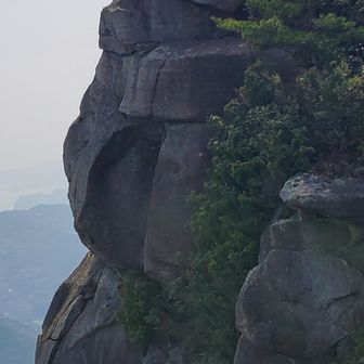 次郎丸嶽🏔️で
五郎丸ポーズ🙌⤴️⤴️
