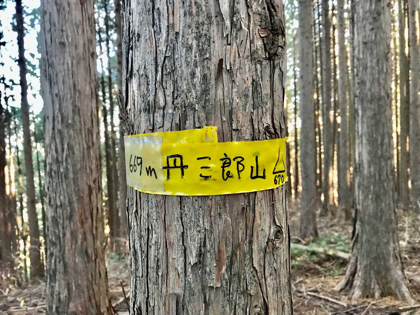 丹三郎山の写真