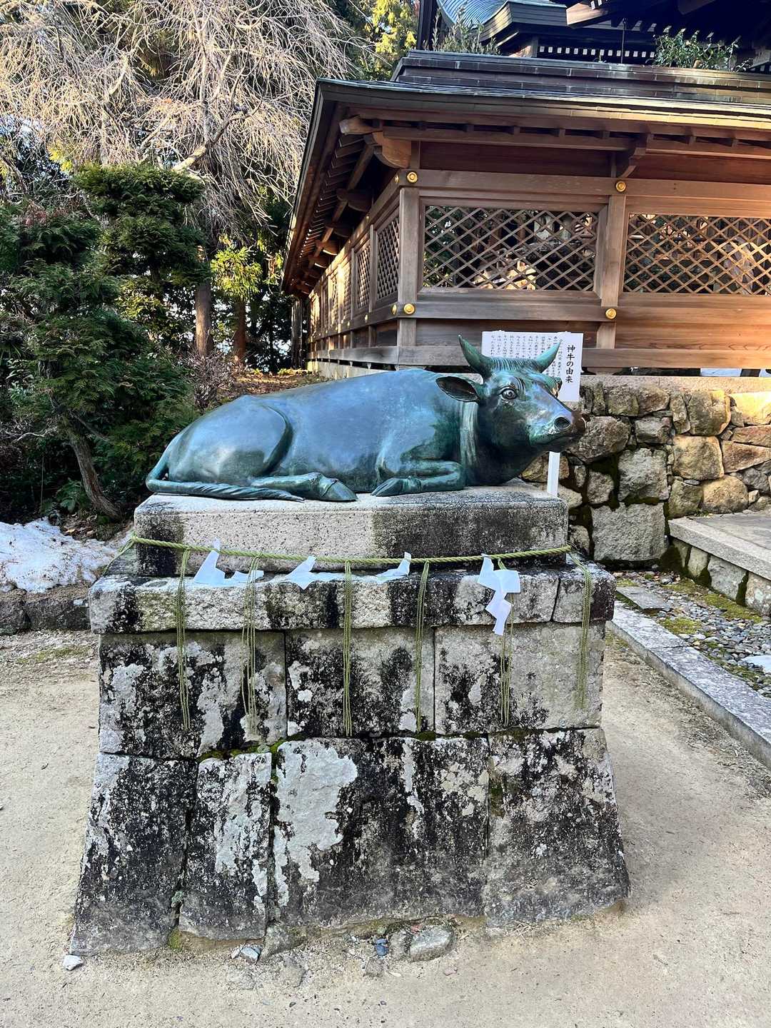 荒神山神社の使いになっている牛。