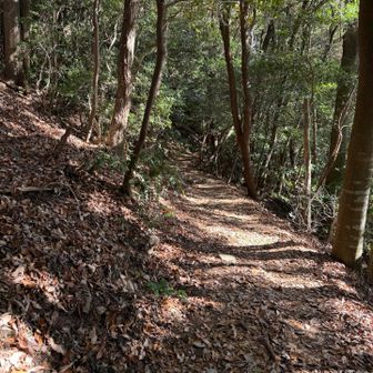 五井山への道
ランしやすい🏃‍♀️
