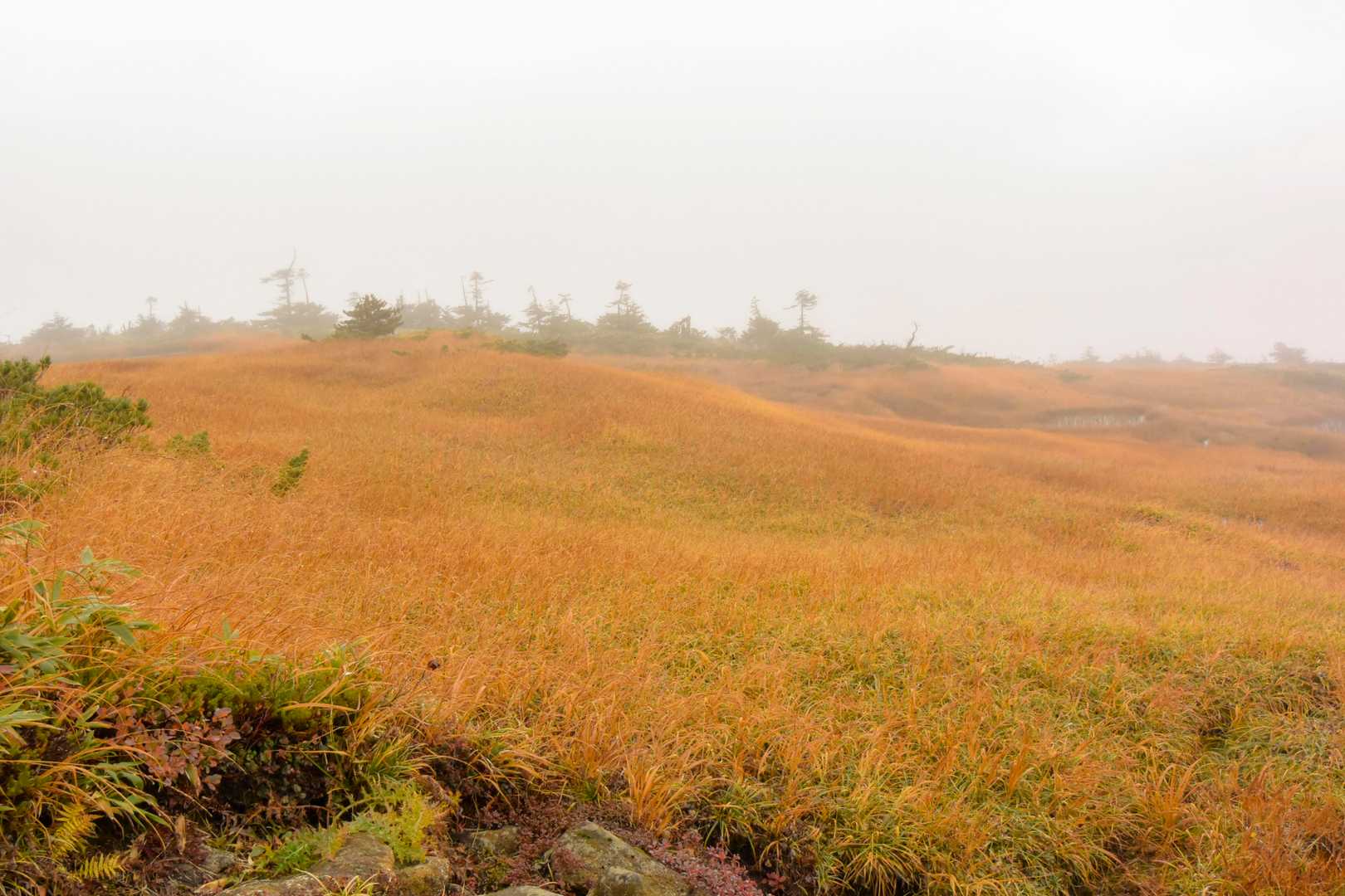 西吾妻山登山口-西吾妻山-天元台つがもりリフト 往復コースの写真