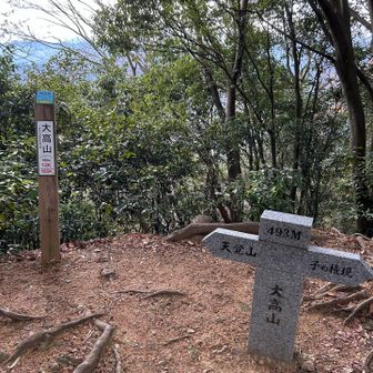 大高山では、山頂独り占め😎