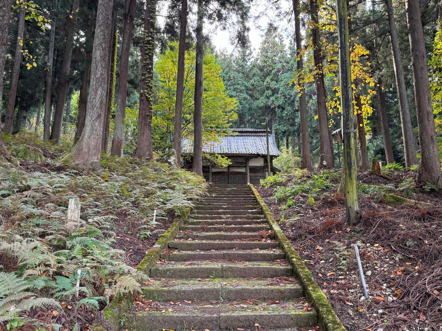 下山したぁ〜