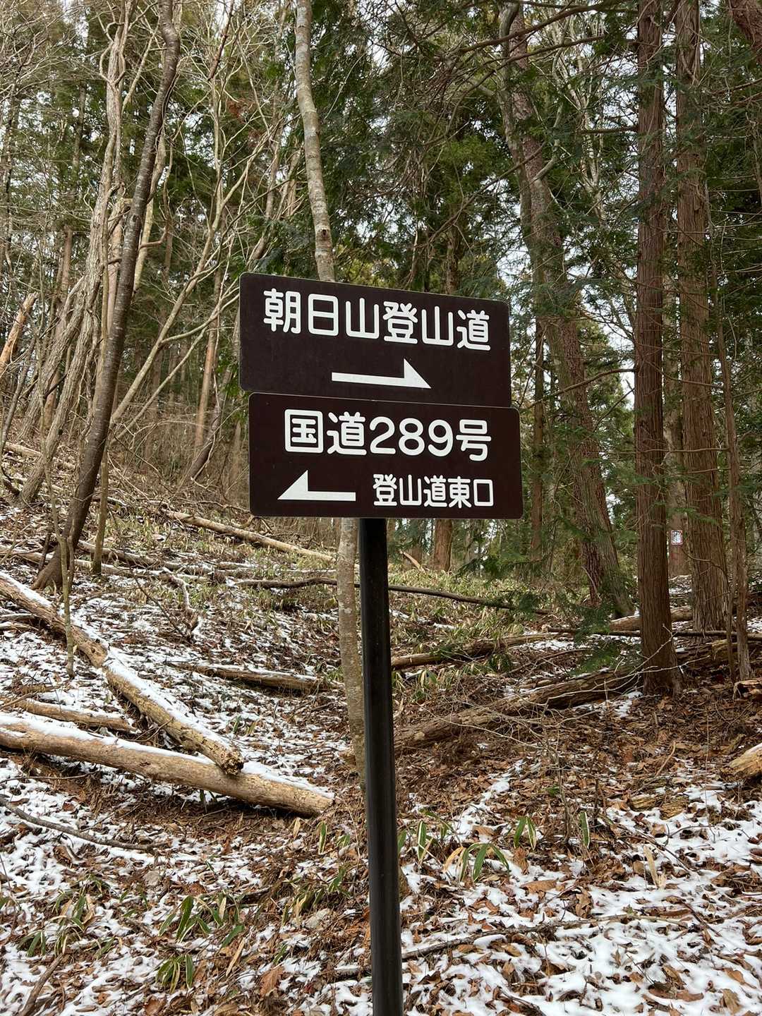 朝日山登山道東入口-朝日山-朝日山登山道西入口 周回コースの写真