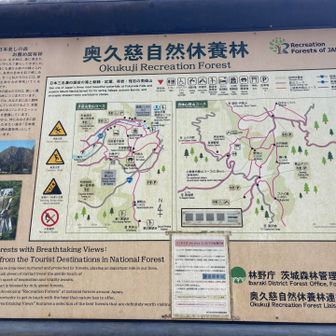 袋田の滝から歩いてきた！という方にもお会いしました😆