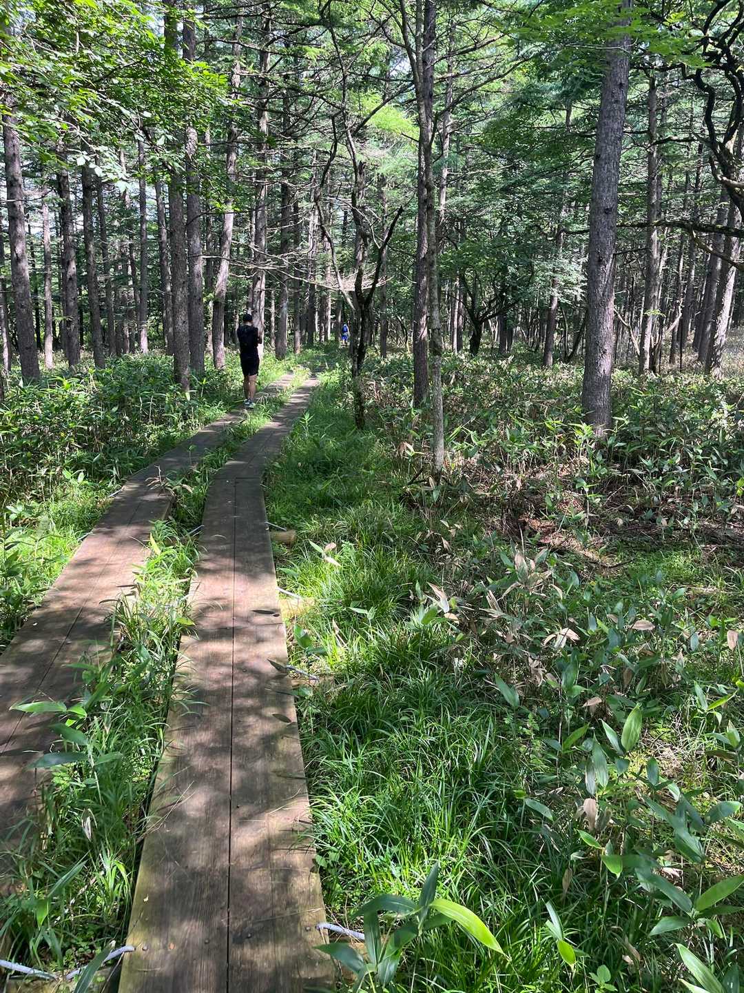 木道は歩行区間🚶　真面目にちゃんと歩きます🚶　ツルツル滑って走れないけどね