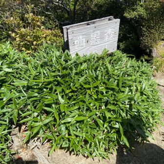 西黒森山頂！