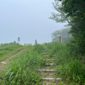 山頂は眺望よさそう！さあ上へ行こう