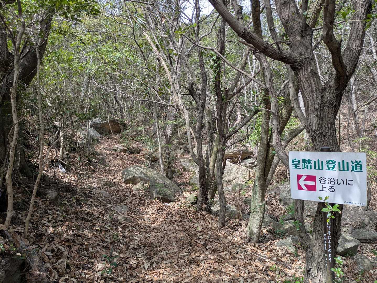 登山道スタート