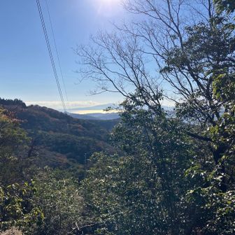 朝日が気持ちよい。ポカポカ。