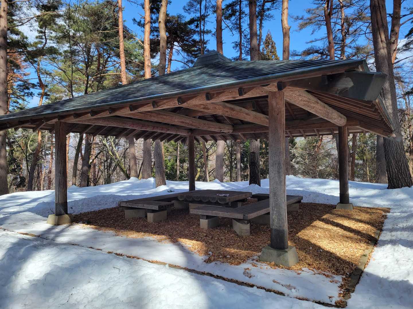 大きい東屋！
ウッドチップは伐採した松の木なのかな🤔