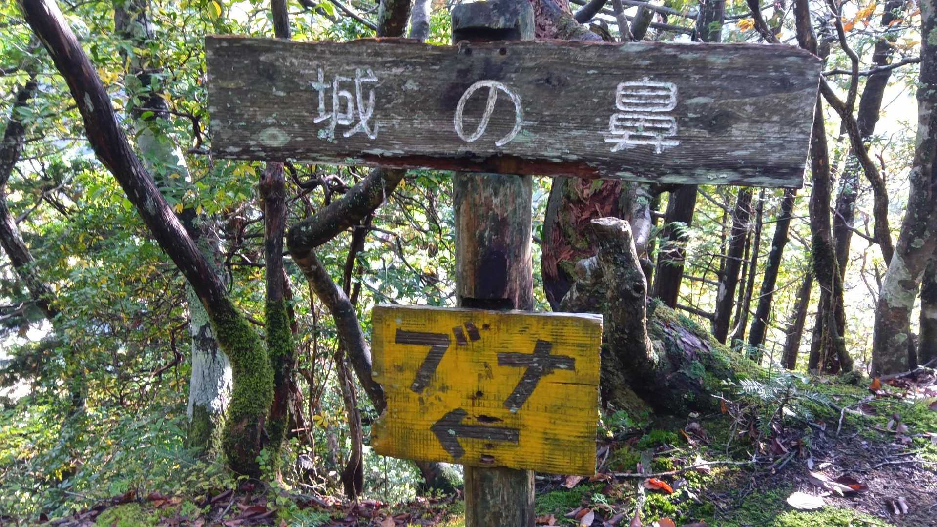 少し上がって(急💦)