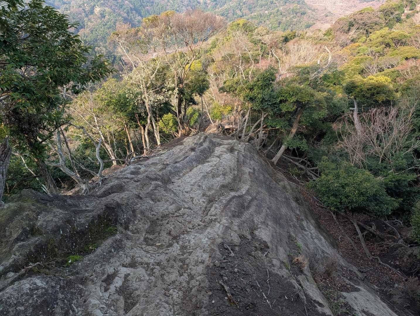 スイセンピーク取付-小保田峠-嵯峨山-小鋸山 周回コースの写真