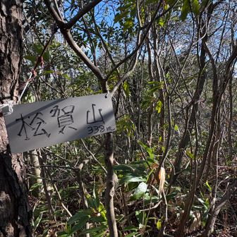 松賀山✨
通過💨
もう少し行った鉄塔の所で
昼食とします😋