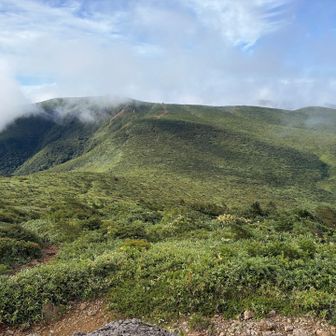 鉄山へ続く笹原の縦走路