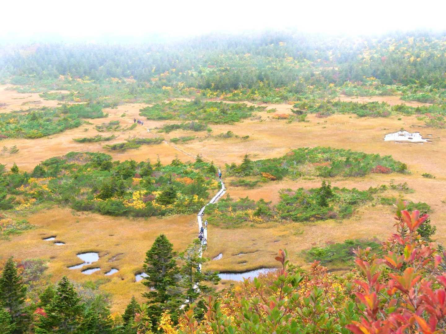 酸ヶ湯温泉から八甲田大岳を登り、広大な高層湿原を歩く王道コースの写真