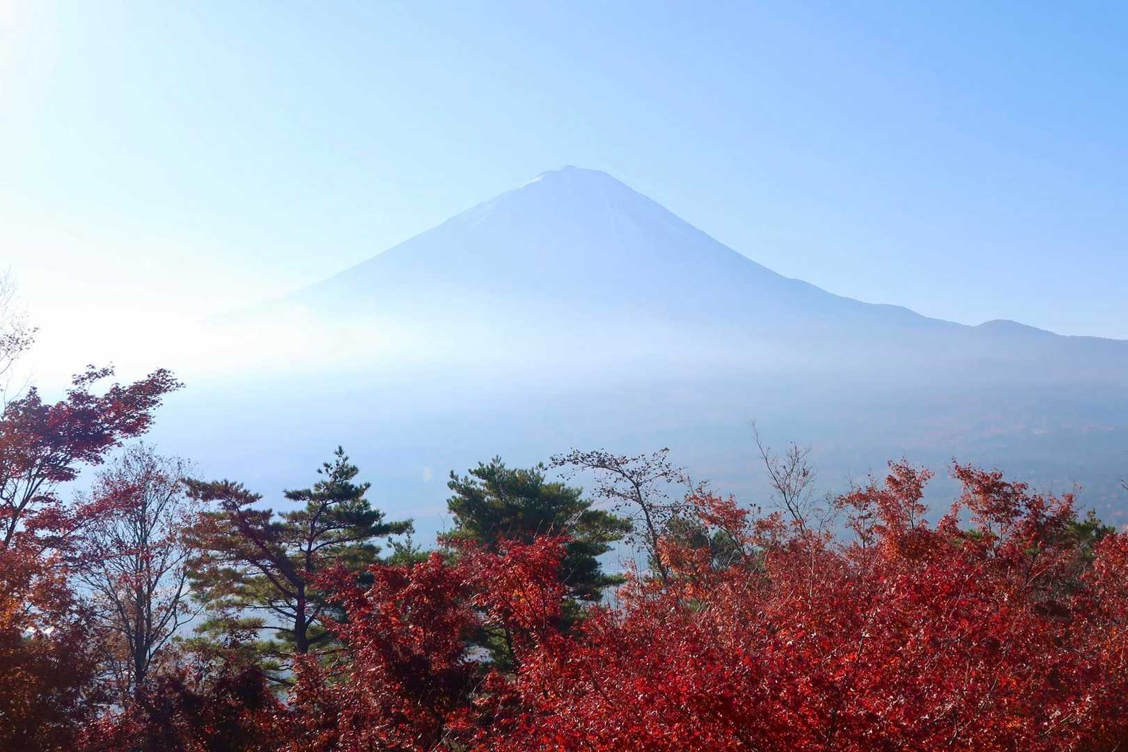 まずはレストハウス前から🗻と🍁