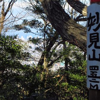 立ち寄った初めてのピーク🙌　