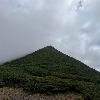 ハイマツ漕ぎスタート😣