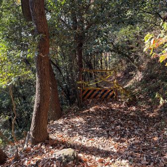 左から降りられます