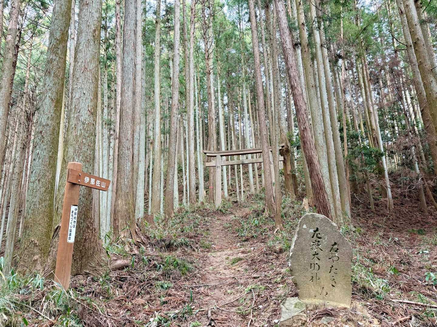 ここから山頂へ続く

伊那佐山⛰️山頂には
都賀那岐神社（つがなぎじんじゃ）⛩️がある

神聖な気持ちで
鳥居⛩️をくぐって登ろう