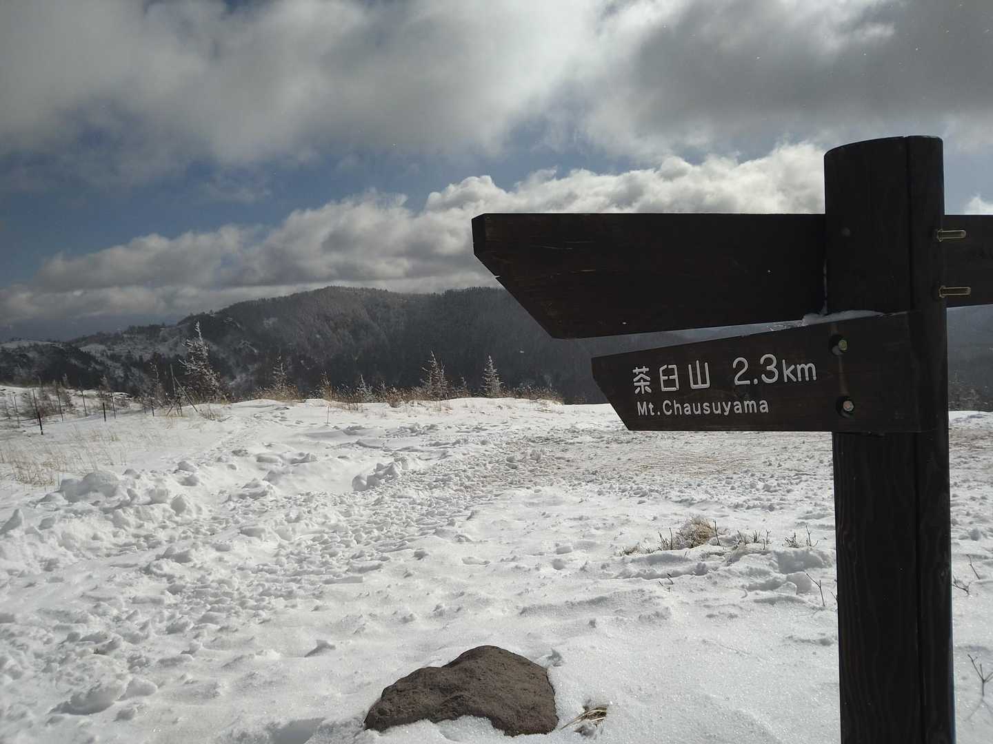 分岐で確認しながら迷うことなく進みました。