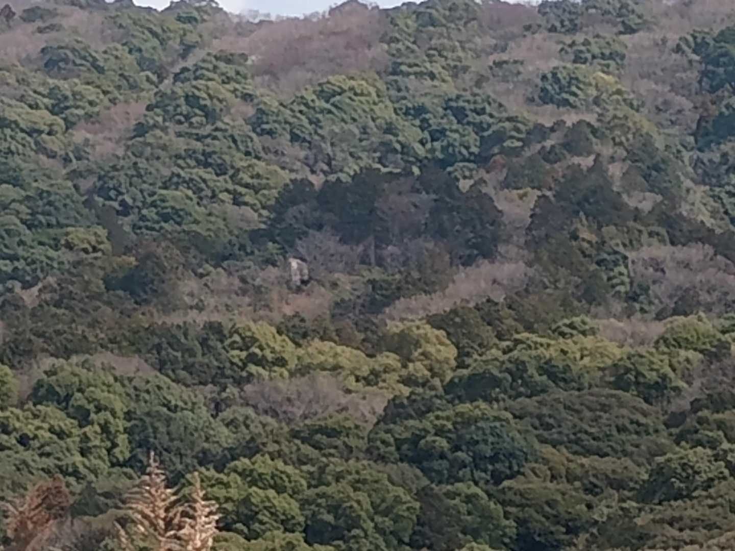 お寺の脇を下山して舗道を歩く👣
さっきまで居た岩が見える！