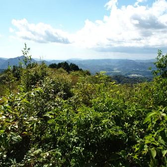 竜ヶ岳と玖珂盆地