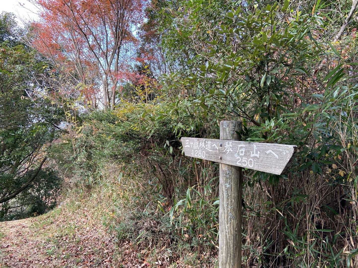 三ヶ岳への分岐
いつか縦走してみたい🚶‍♀️