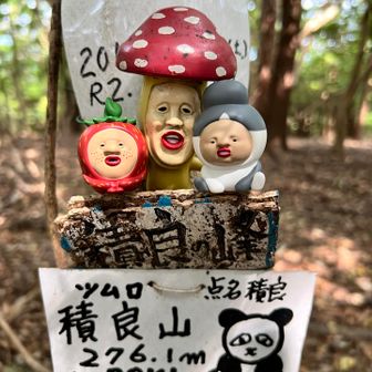 コビトシリーズbyピロピロちゃん