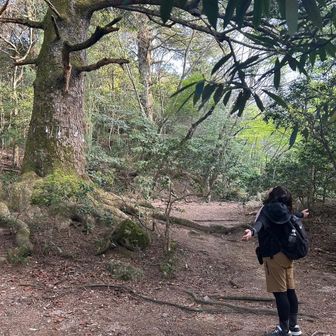 あゆたユーザー