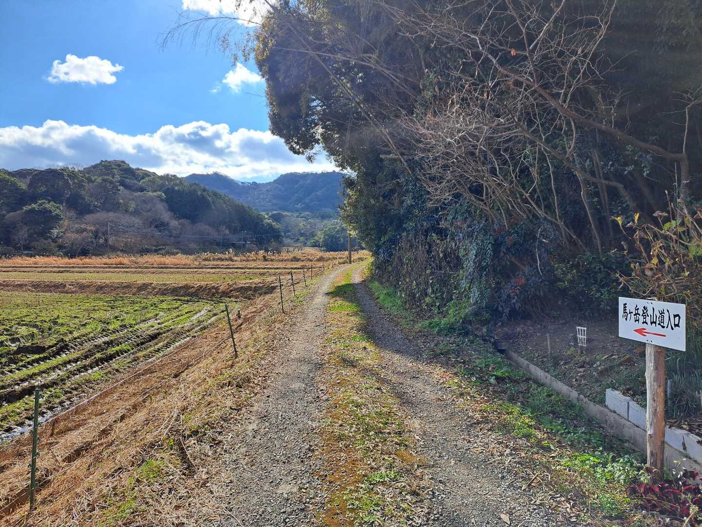 YAMAPの駐車場はこの先😵
登山者の少ないド平日ならこの先に
行ったかな😅
