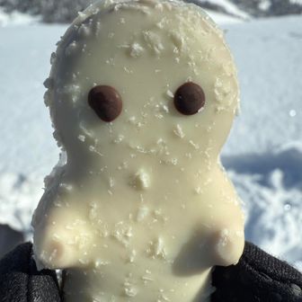 坊やサンタは多分浦佐駅で買った模様
雪山はチョコ付いてても持ってこれるから良い◎