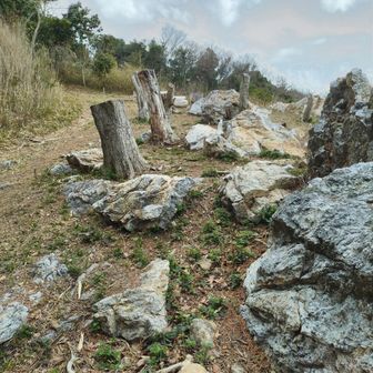 いきなり開けた